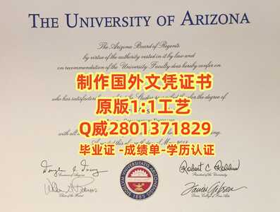 144亚利桑那大学