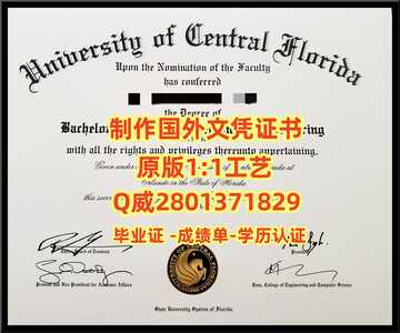 153中佛罗里达大学